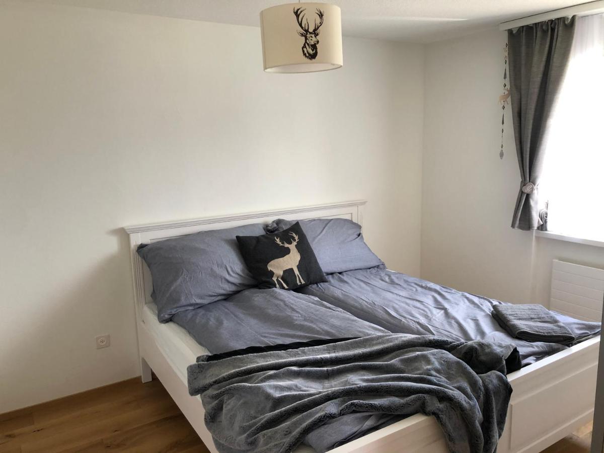 Renovated 3 Rooms Apartment In Ruschein Near Laax 外观 照片
